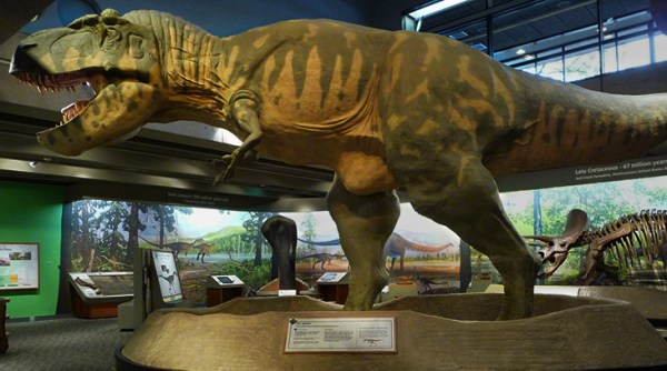 Field museum exhibit