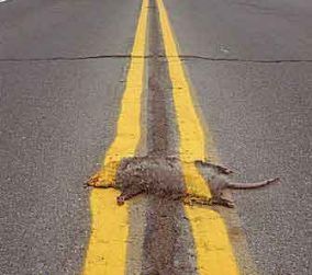 Is "compromise" a compliment or a curse? 