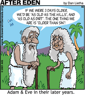 Other creationists just don't get it...