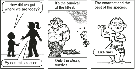 Jack chick Evolution