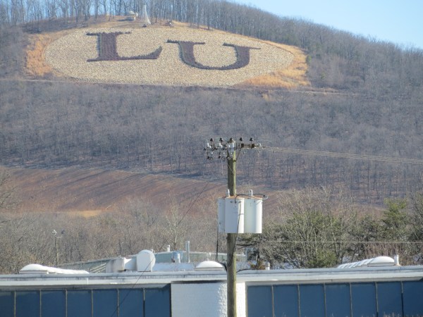 Raking in mountains of dough...