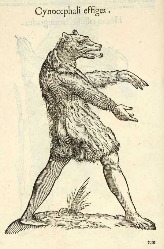 huntington bear head