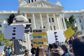 CAcharterrallyMarch13-320x215