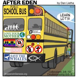 aig dangerous public school bus