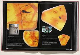 harun yahya atlas of creation